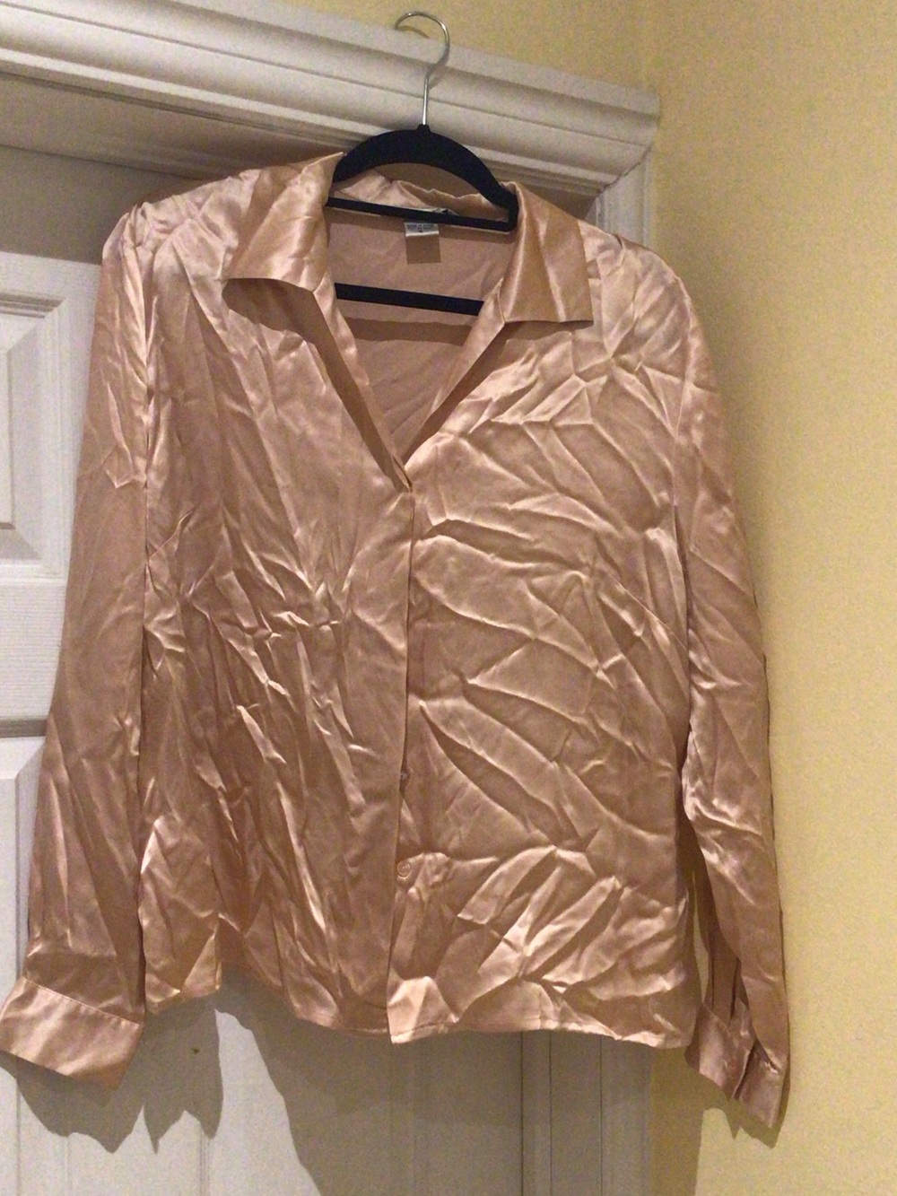 100% Silk Button-Down Shirt in Blush shade